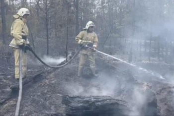 Фотография к новости: Абай облысындағы өрт. 3 бағытта сөндіру жұмыстары жалғасып жатыр