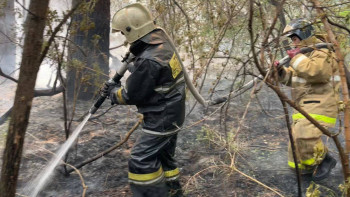 Фотография к новости: "Апат еңсеріледі деп сенемін". Назарбаев Абайдағы қайғылы жағдайға байланысты көңіл айтты