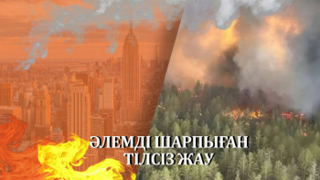 Фотография к новости: Канададағы бұрын-соңды болмаған өрт. Жаһандық жылудың ендігі әсері қандай?