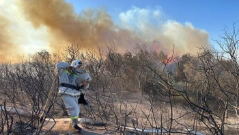 Фотография к новости: Қызылордада қураған шөп өртеніп, жалын 6 гектар аумақты шарпыды