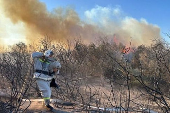 Фотография к новости: Қызылордада қураған шөп өртеніп, жалын 6 гектар аумақты шарпыды
