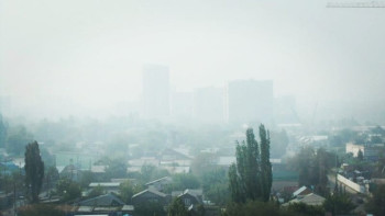 Фотография к новости: Жетісу әкімдігі қарт адамдарға үйден шықпауға кеңес берді