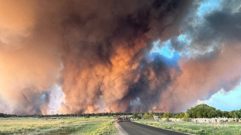Фотография к новости: Павлодардан Абай облысына гуманитарлық көмек жөнелтілді