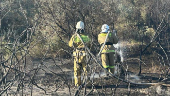 Фотография к новости: Қызылорда маңындағы өрт сөндірілді