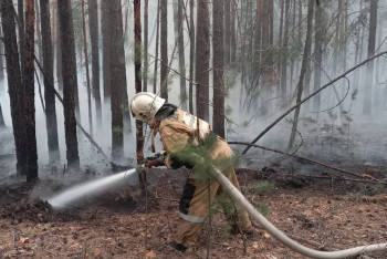 Фотография к новости: Абайдағы алапат өрт: Түркия мен Өзбекстан көмек ұсынды