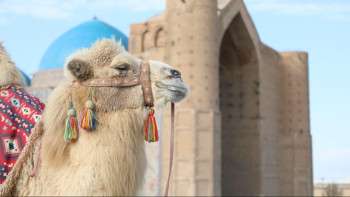 Фотография к новости: Өзгерген өңір - Түркістан