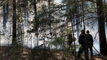 Фотография к новости: Абай облысындағы өрт. Жедел штаб қазіргі жағдайды баяндады