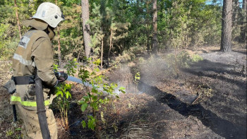 Фотография к новости: Абай облысындағы өрт. Жедел штаб қазіргі жағдайды баяндады