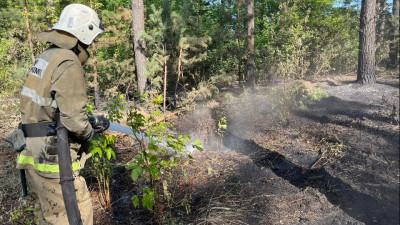 Абай облысындағы өрт. Жедел штаб қазіргі жағдайды баяндады