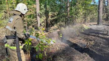 Фотография к новости: Ақмола облысындағы қорық аумағында алапат өрт болып жатыр