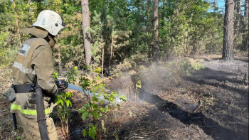 Фотография к новости: Абайдағы өртті сөндіріп жатқан әскерилердің жалақысы қанша?