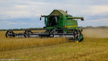 Фотография к новости: Аптап ыстық елдегі егінге қалай әсер етеді?