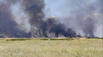 Фотография к новости: Сарыкөл көліндегі қамыстың өртенуі оқшауланды