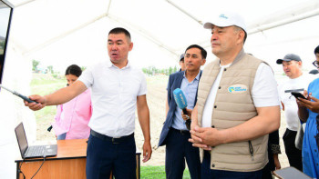 Фотография к новости: Қобда ауданында алма өсіру қолға алынды