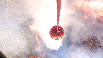 Фотография к новости: Ақмола облысындағы өрт аумағы 130 гектарға дейін жетті