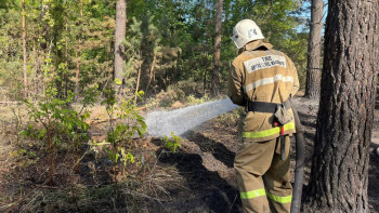 Фотография к новости: Риддердегі қорықтан  өрт шықты