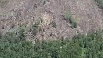 Фотография к новости: ТЖД: Катонқарағайдағы өрт ауыздықталды