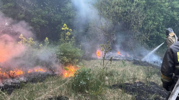 Фотография к новости: Шығыс Қазақстанда тағы бір орман өртеніп жатыр