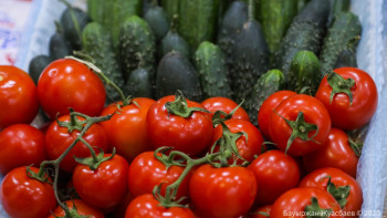 Фотография к новости: Көмір тапшылығы. Қымбатшылық. Жылыжай кәсібіндегі проблемалар қандай?