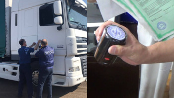 Фотография к новости: Автокөлікті жалған құжаттар бойынша тіркеген қылмыстық топ ұсталды