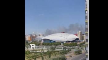 Фотография к новости: Астанада қала маңындағы ағаштар өртеніп жатыр