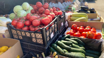 Фотография к новости: Талапқа сәйкес келмейтін өнімдер бар өңірлер анықталды