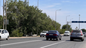 Фотография к новости: Ақтөбе облысында қанша көлік заңдастырылды?