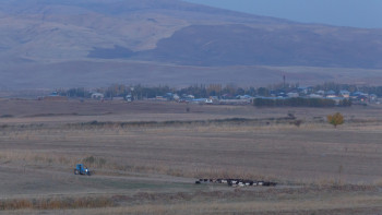 Фотография к новости: Шалғай ауылдағылар алғашқы медициналық көмекке толыққанды қашан қол жеткізеді?