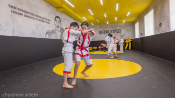 Фотография к новости: Биыл Art sport-қа қанша теңге бөлінді?