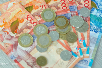 Фотография к новости: «Қазақстан барысына» бөлінген қаржының жұмсалу заңдылығы тексеріліп жатыр