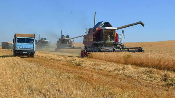 Фотография к новости: Жамбыл облысында астық жинау науқаны басталды