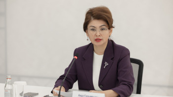 Фотография к новости: Балаева балалар әдебиетінің әлемдік шығармаларын қазақ тіліне аударуды ұсынды