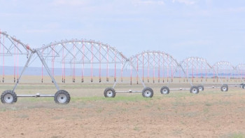 Фотография к новости: Ақтөбе облысында суармалы алқаптар кеңейтіліп жатыр