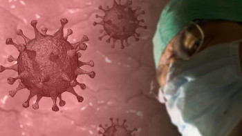 Фотография к новости: «Оз». Жапонияда қауіпті вирус анықталды