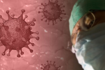 Фотография к новости: «Оз». Жапонияда қауіпті вирус анықталды