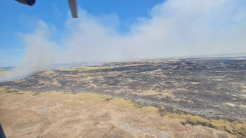 Фотография к новости: Алматы облысында қамыс жанып жатыр