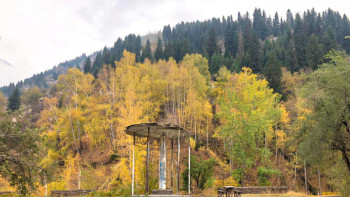 Фотография к новости: Ұлытау облысының тұрғындарына орманда жүруге тыйым салынбақ