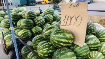 Фотография к новости: Ерте піскен қарбыздың қандай қатері бар?