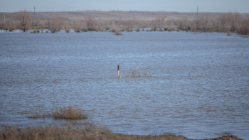 Фотография к новости: Шомылу маусымы басталғалы бері Ақмола облысында 6 адам суға кетті