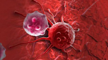 Фотография к новости: АҚШ-та 20 жылдан бері алғаш рет безгек тіркелді