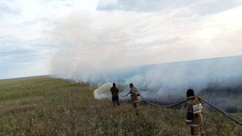 Фотография к новости: Талғар ауданында 10 гектар шөп өртенді
