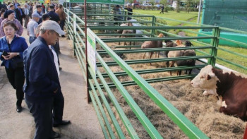 Фотография к новости: Сүт саласын дамыту мәселелері талқыланды