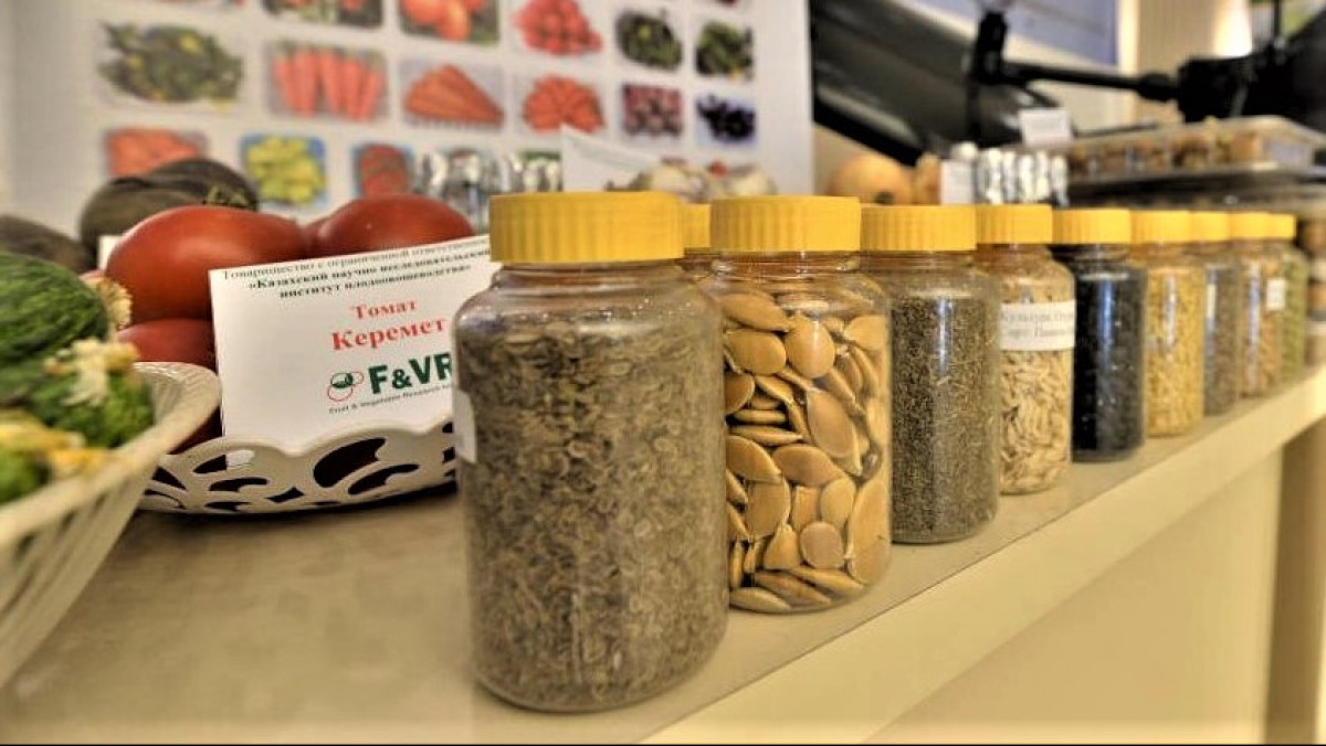  Жетісу облысы әкімдігі