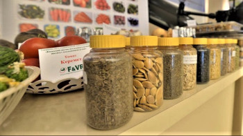 Фотография к новости: Жетісу облысында тұқым шаруашылығын дамытып жатыр