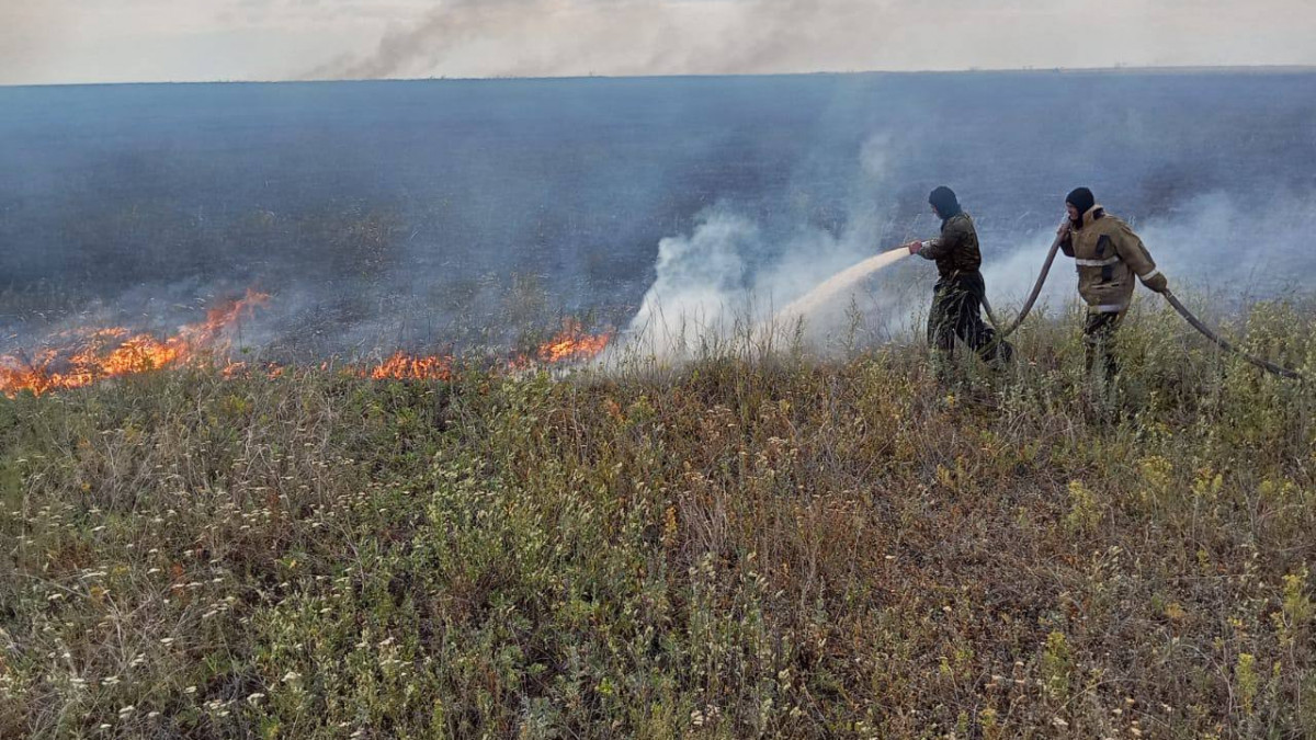  ТЖМ баспасөз қызметі