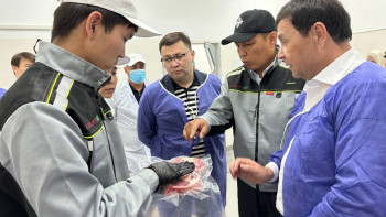 Фотография к новости: Жаңаөзенде 500 бас ірі қара малға арналған бордақылау алаңы салынады