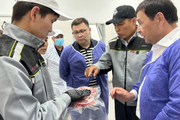 Фотография к новости: Жаңаөзенде 500 бас ірі қара малға арналған бордақылау алаңы салынады