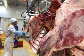 Фотография к новости: Елімізден 14 тонна етті заңсыз экспорттамақ болған