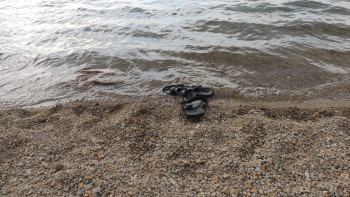 Фотография к новости: Шомылу кезеңінің басынан 59 адам суға батып кеткен, оның 19-ы бала