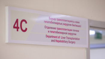 Фотография к новости: Қызылорда облысында кенеден екі адам көз жұмды